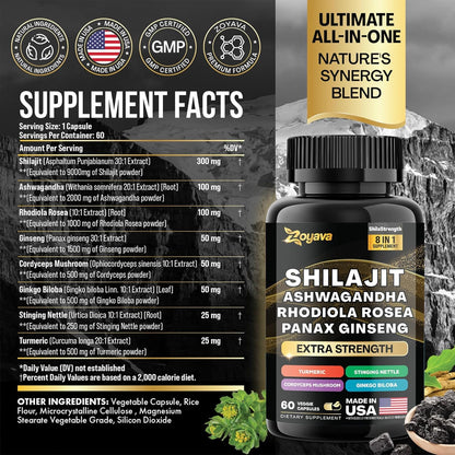 Formule Complète 8-en-1 : Shilajit &amp; Adaptogènes Premium