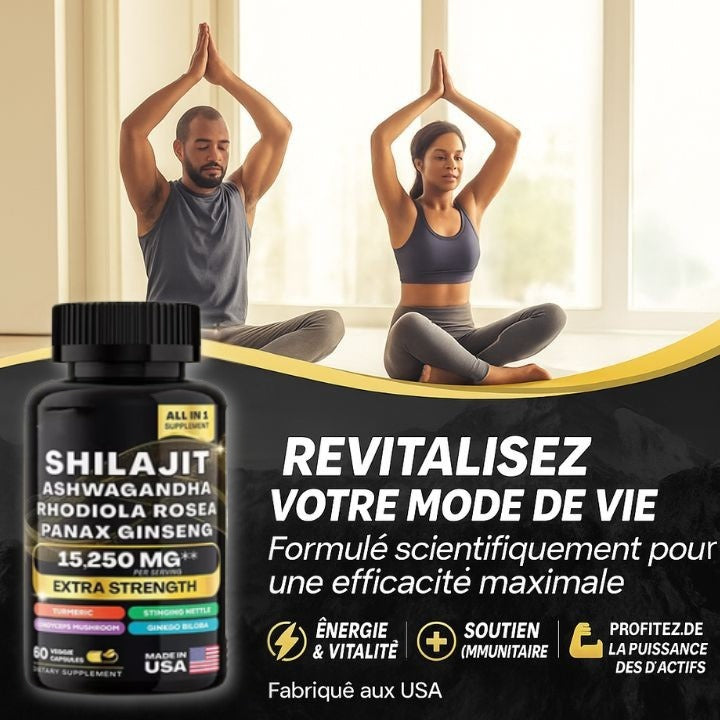 Formule Complète 8-en-1 : Shilajit & Adaptogènes Premium