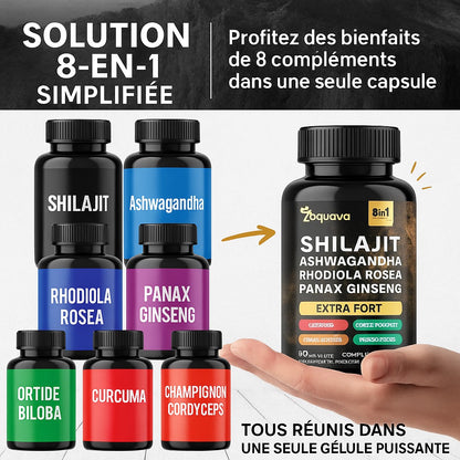 Formule Complète 8-en-1 : Shilajit &amp; Adaptogènes Premium